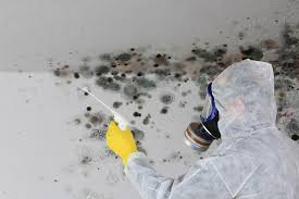 Best Attic Mold Removal  in Matamoras, PA